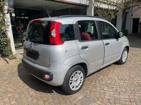 Usata Fiat Panda Lounge 69 CV (50 kW) 2014 Grigio Utilitaria