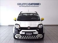 Usata Fiat Panda Icon 70 CV (51 kW) 2025 Bianco Utilitaria