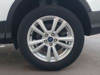 usata Ford Kuga 2.0 TDCI 150 CV Start&Stop Powershi...