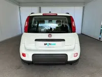 Usata Fiat Panda City Life 70 CV (51 kW) 2021 Bianco Utilitaria