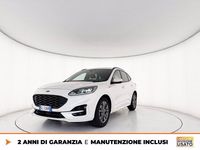 Usata Ford Kuga ST-Line 150 CV (110 kW) 2022 Bianco SUV