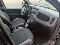 usata Fiat Panda 1.2 69cv