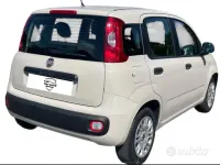 Usata Fiat Panda Lounge 69 CV (50 kW) 2017 Beige Utilitaria