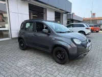 Usata Fiat Panda Cross Cross 69 CV (50 kW) 2020 Grigio Utilitaria