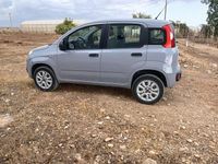 Usata Fiat Panda 70 CV (51 kW) 2019 Grigio Utilitaria