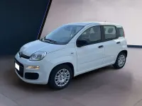 Usata Fiat Panda 69 CV (50 kW) 2025 Bianco Utilitaria