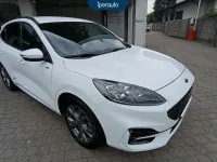 Usata Ford Kuga ST-Line X 190 CV (139 kW) 2023 Bianco SUV