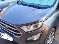 Usata Ford Ecosport Business Edition 100 CV (73 kW) 2020 Grigio SUV