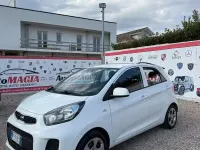 Usata Kia Picanto 67 CV (49 kW) 2016 Bianco Utilitaria