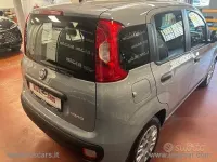 Usata Fiat Panda S 70 CV (51 kW) 2021 Grigio Utilitaria