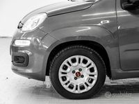 Usata Fiat Panda Easy 69 CV (50 kW) 2019 Grigio Utilitaria