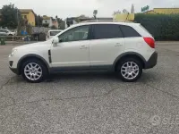 Usata Opel Antara Cosmo 163 CV (119 kW) 2013 Bianco SUV