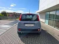 Usata Fiat Panda Easy 69 CV (50 kW) 2020 Grigio Utilitaria
