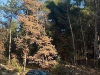 Usata Alfa Romeo Giulietta Exclusive 105 CV (77 kW) 2012 Nero Utilitaria