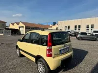 Usata Fiat Panda 4x4 60 CV (44 kW) 2005 Giallo Utilitaria