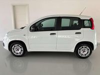 Usata Fiat Panda Easy 69 CV (50 kW) 2019 Bianco Utilitaria