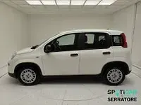 Usata Fiat Panda 70 CV (51 kW) 2024 Nero Utilitaria