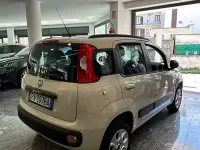 Usata Fiat Panda Lounge 80 CV (58 kW) 2015 Beige Utilitaria
