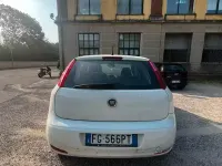 Usata Fiat Punto 77 CV (56 kW) 2016 Bianco Utilitaria