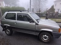 Usata Fiat Panda 4x4 Trekking 54 CV (39 kW) 2001 Grigio Utilitaria
