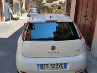 Usata Fiat Punto 75 CV (55 kW) 2013 Bianco Utilitaria