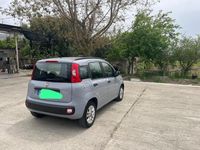 Usata Fiat Panda 75 CV (55 kW) 2019 Grigio Utilitaria