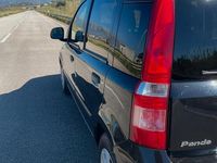 Usata Fiat Panda 69 CV (50 kW) 2011 Utilitaria