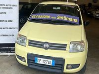 usata Fiat Panda 4x4 Panda 1.2 Climbing