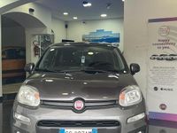 Usata Fiat Panda Lounge 69 CV (50 kW) 2019 Grigio Utilitaria