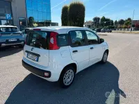 Usata Fiat Panda Easy 69 CV (50 kW) 2019 Bianco Utilitaria