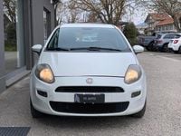 Usata Fiat Punto Lounge 77 CV (56 kW) 2012 Bianco Utilitaria