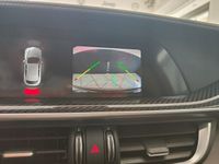 Usata Alfa Romeo Stelvio Quadrifoglio 510 CV (375 kW) 2018 SUV