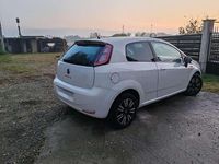 Usata Fiat Punto Young 75 CV (55 kW) 2014 Berlina