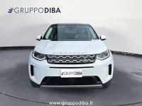 Usata Land Rover Discovery Sport SE 163 CV (119 kW) 2022 Bianco SUV