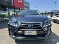 Usata Lexus NX300h Sport Line 155 CV (114 kW) 2015 Verde SUV