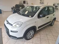 Begagnad Fiat Panda Easy 70 HK (51 kW) 2021 Vit Halvkombi