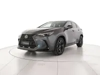 Usata Lexus NX350h 190 CV (139 kW) 2024 Grigio SUV