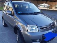 Usata Fiat Panda 4x4 Climbing 75 CV (55 kW) 2013 Grigio Utilitaria