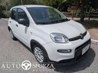 Usata Fiat Panda 69 CV (50 kW) 2023 Bianco Utilitaria