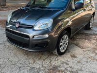Usata Fiat Panda 85 CV (62 kW) 2017 Utilitaria