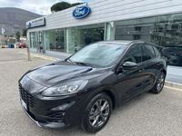 usata Ford Kuga 2.5 full hybrid ST-Line 2wd 190cv cvt