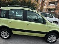 Usata Fiat Panda 4x4 69 CV (50 kW) 2005 Verde Utilitaria