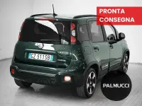 Usata Fiat Panda Cross Cross 70 CV (51 kW) 2025 Verde Utilitaria