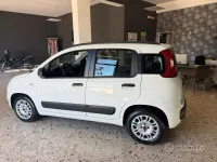 Usata Fiat Panda Trekking 75 CV (55 kW) 2012 Bianco Utilitaria