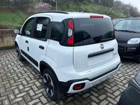 usata Fiat Panda Cross 1.0 FireFly S&S Hybrid City nuova a Terranuova Bracciolini