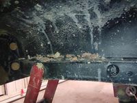 Usata Fiat Panda 50 CV (36 kW) 1987 Utilitaria