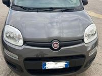 Usata Fiat Panda S 70 CV (51 kW) 2021 Grigio Utilitaria