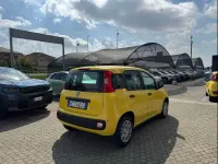 Nuova Fiat Panda Icon 64 CV (47 kW) 2026 Giallo sole (pastello) Utilitaria