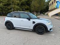 Usata Mini Countryman 2018