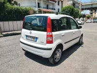 Usata Fiat Panda Dynamic 69 CV (50 kW) 2004 Utilitaria